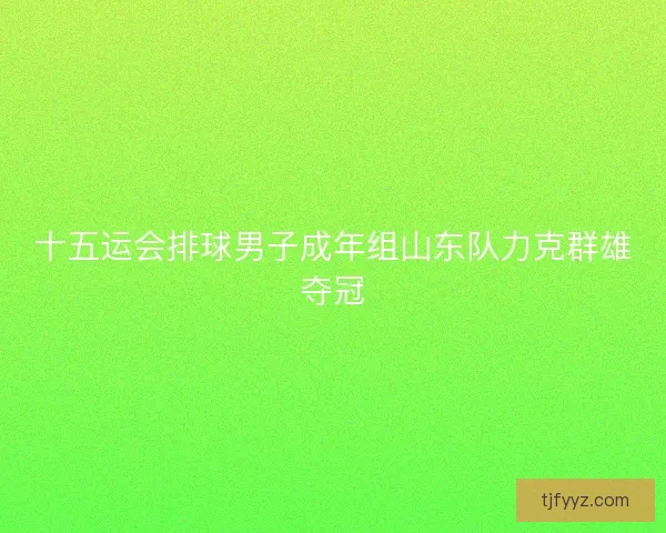十五运会排球男子成年组山东队力克群雄夺冠 十五运会排球男子成年组山东队力克群雄夺冠